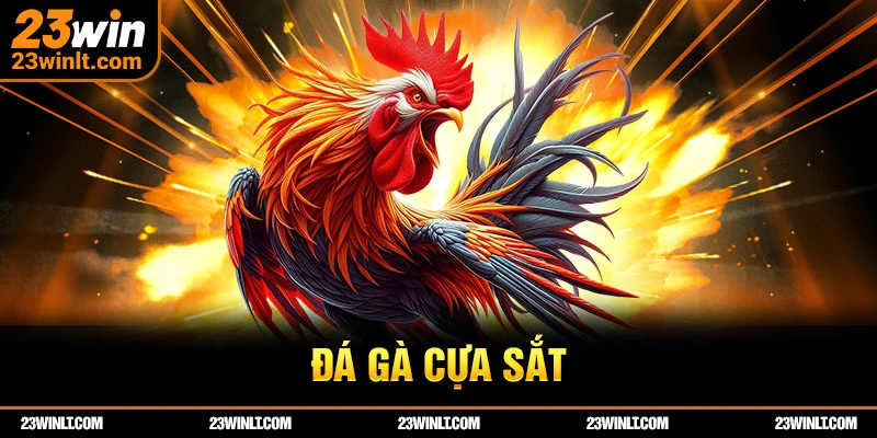 Đá Gà Cựa Sắt 23WIN